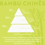 Agua_Perfumada_Acqua_Aroma_Dia_a_Dia_1_1L_Bambu_Chines