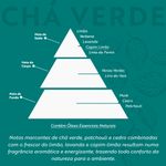 Agua_Perfumada_Acqua_Aroma_Dia_a_Dia_1_1L_Cha_Verde