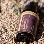Oleo_Essencial_Acqua_Aroma_10ml_Lavanda