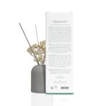 Oleo_Difusor_de_Aromas_Acqua_Aroma_Dia_a_Dia_120ml_Cha_Verde